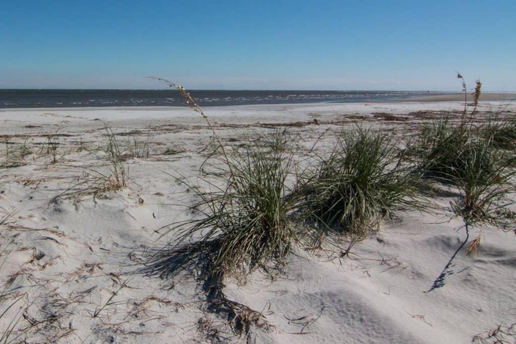 Pelican Point Unobstructed Beach Views Beach Access Out Back Door! Harbor Island Exteriér fotografie